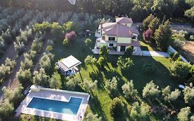 La Casa Nell'Oliveto Bed & Breakfast